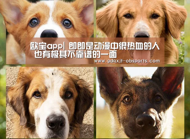 欧宝app|
即即是动漫中很热血的人 也有极其不靠谱的一面(图4) OB真人