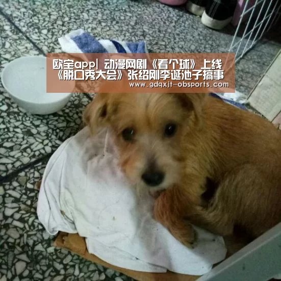 欧宝